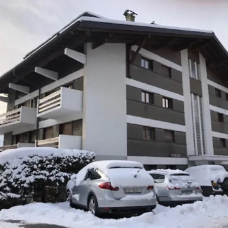 Daire Instant Sports & Paradise Verbier